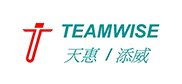 TEAMWISE